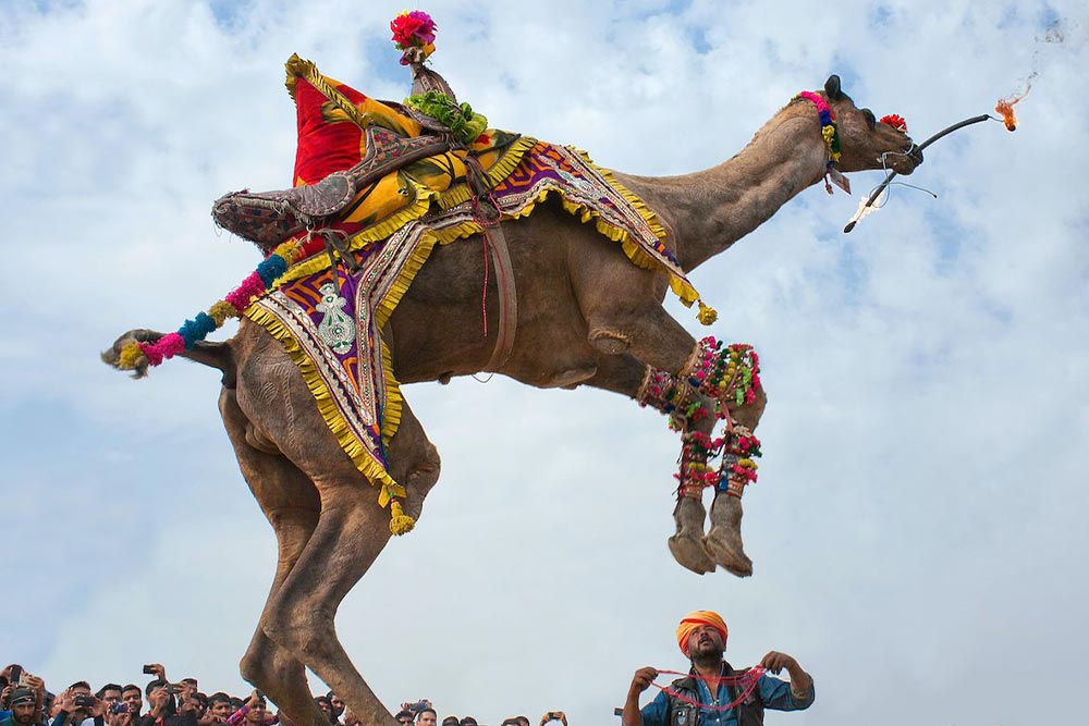 بهترین فستیوال های استانبول
