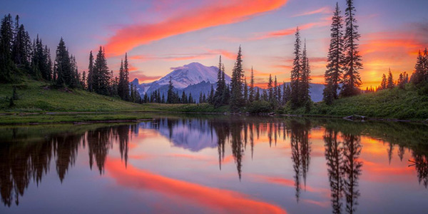 10 مکان دیدنی که باید در سفر به واشنگتن در تابستان بروید!