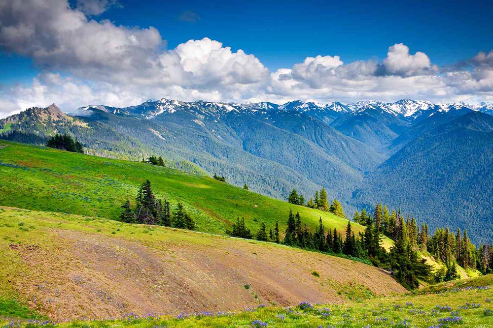 Washington Olympic National Park