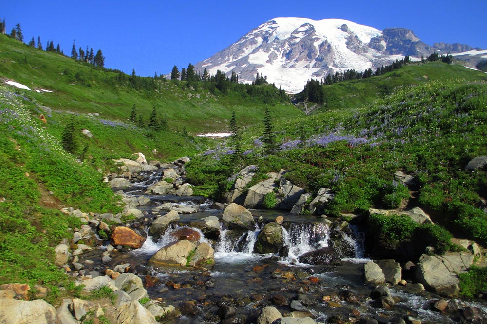 Mount Rainier National Park