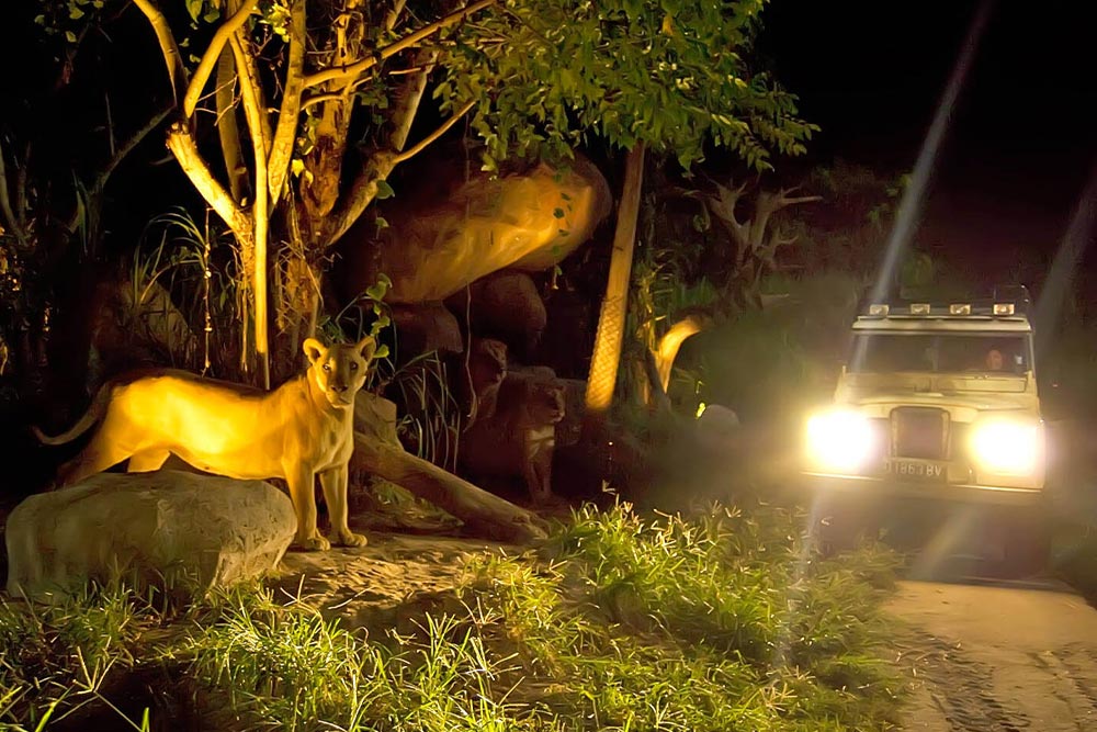 جاهای دیدنی بالی در شب