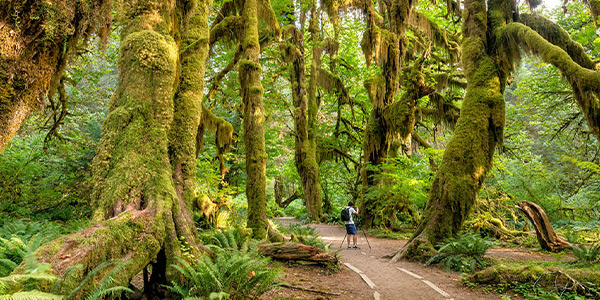 بهترین پارک‌های واشنگتن برای کمپ و دوچرخه سواری!