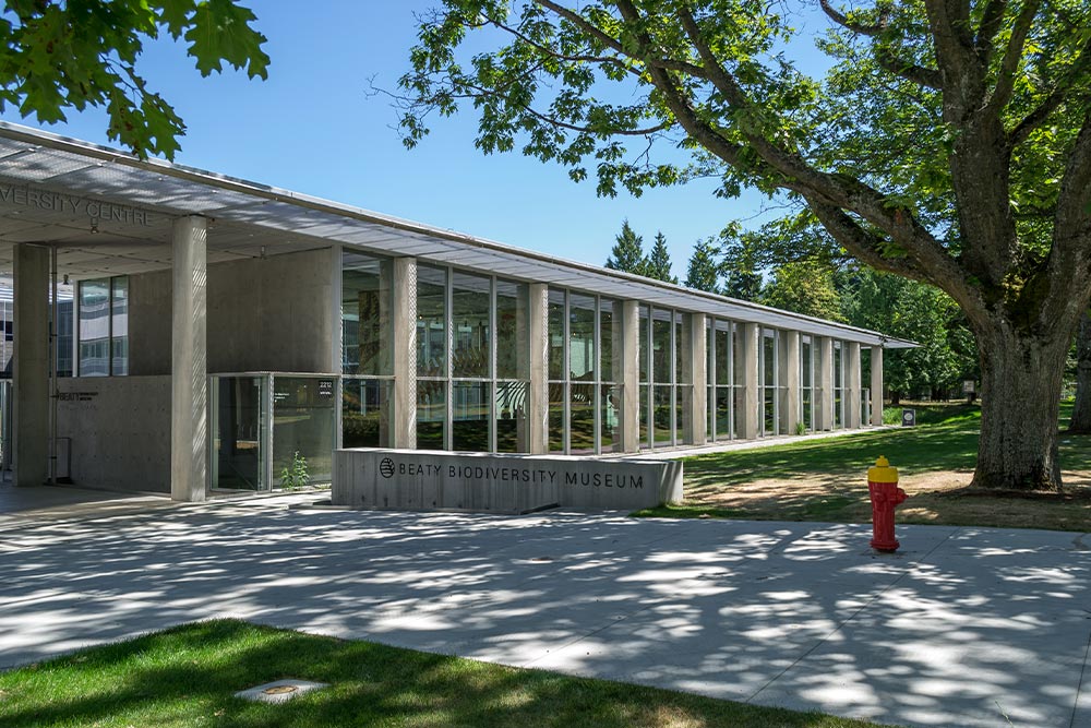 Beaty Biodiversity Museum