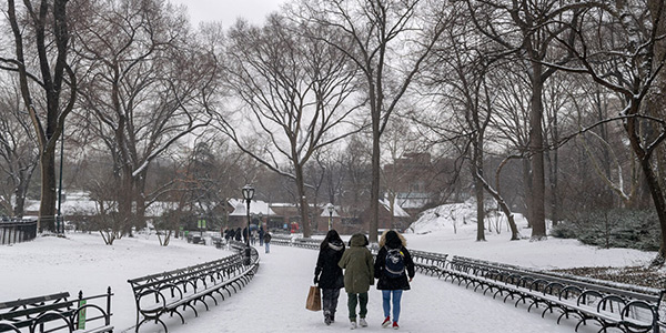 سفر به نیویورک در زمستان؛ از محله چینی ها تا جزیره آلیس!