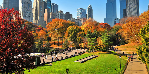 سفر به نیویورک در پاییز؛ از رژه هالووین تا تماشای ماراتن!