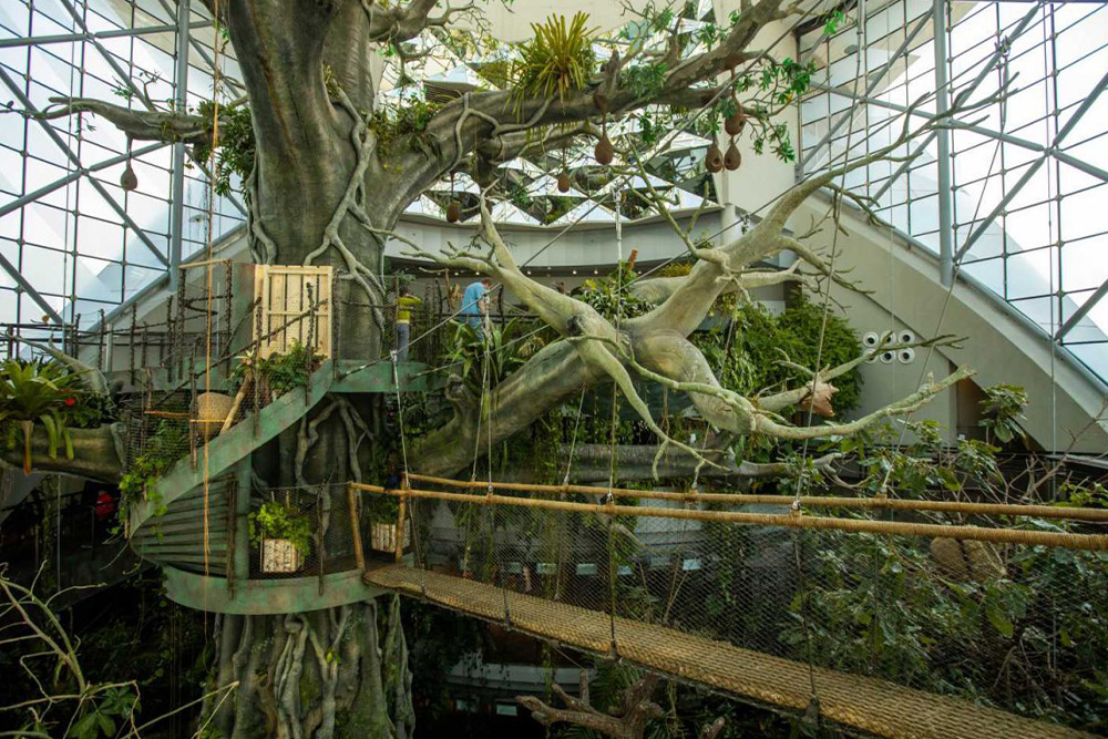 سیاره سبز دبی