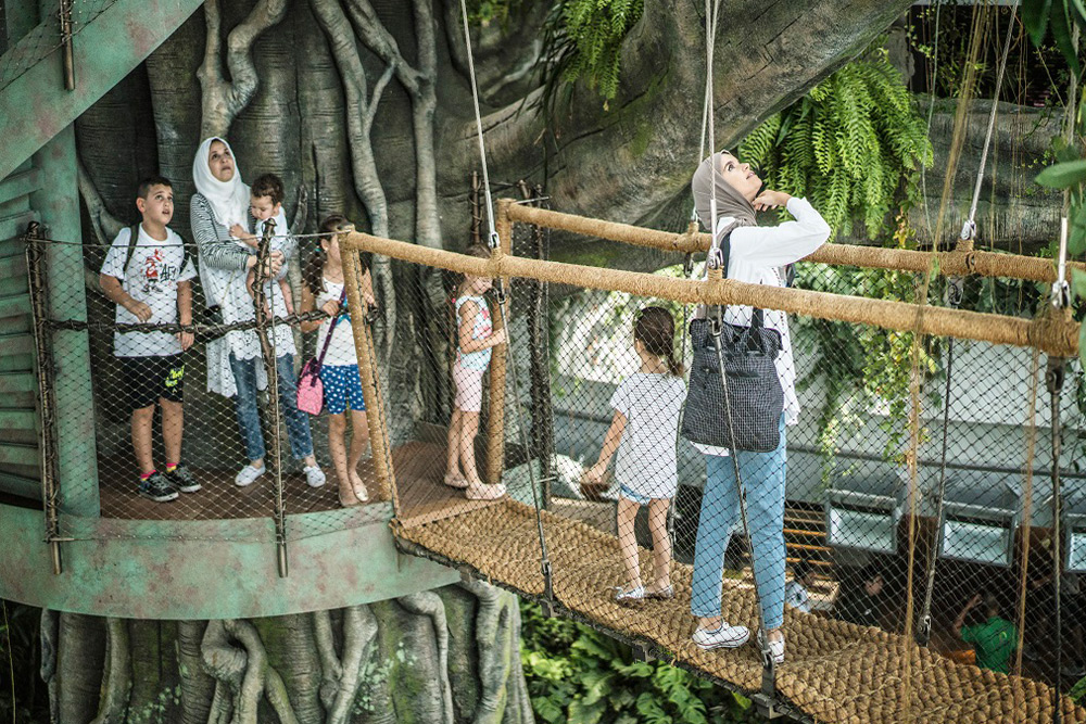 سیاره سبز دبی