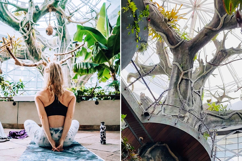 سیاره سبز دبی