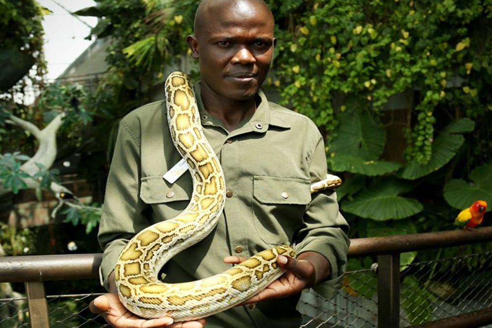 سیاره سبز دبی