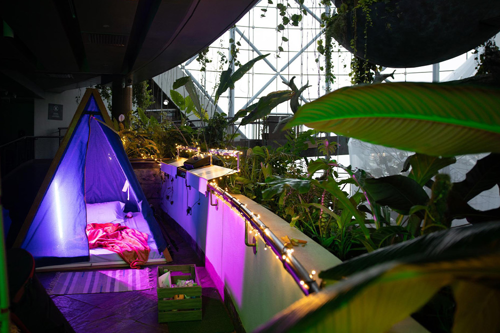 کمپ های تابستانی