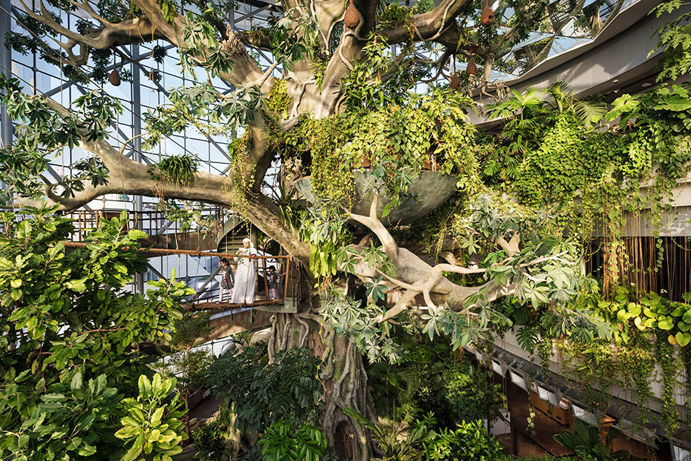 نکاتی برای بازدید