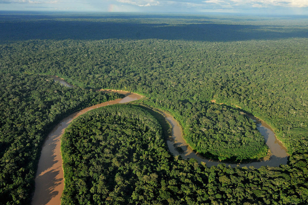 بهترین جنگل‌ های جهان