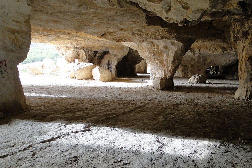 غار کلاغ وحشی