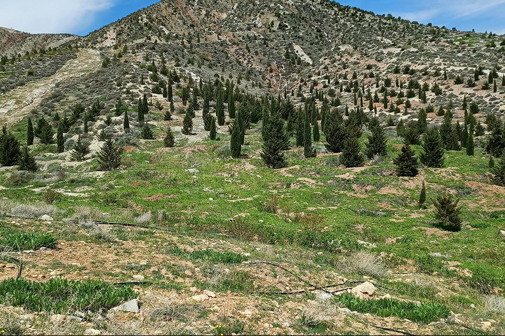 پارک دراک شیراز