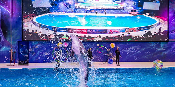Dubai Dolphinarium