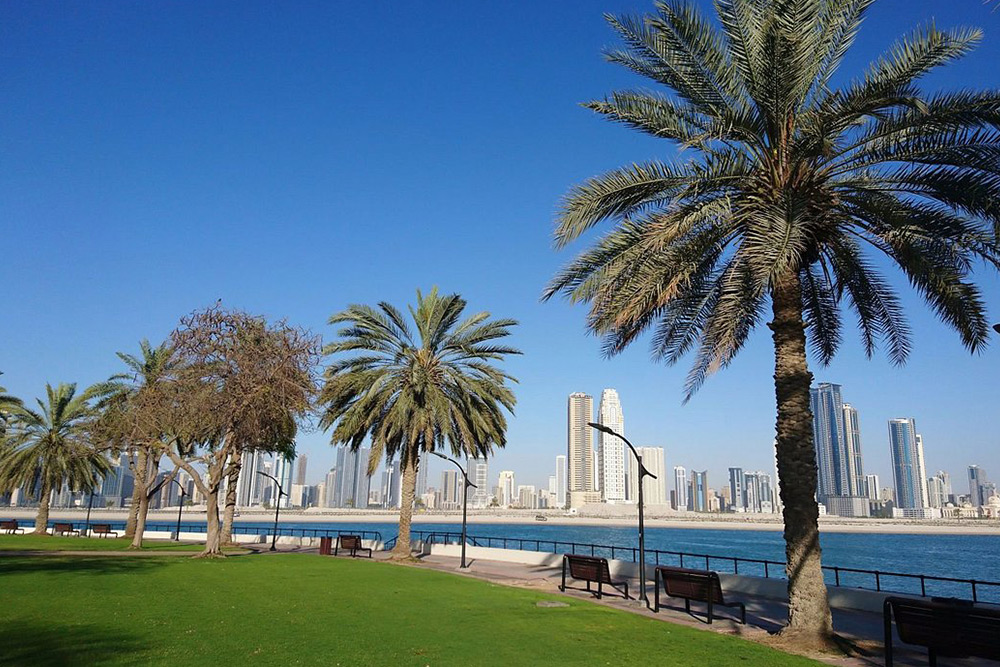 بندر کریک دبی