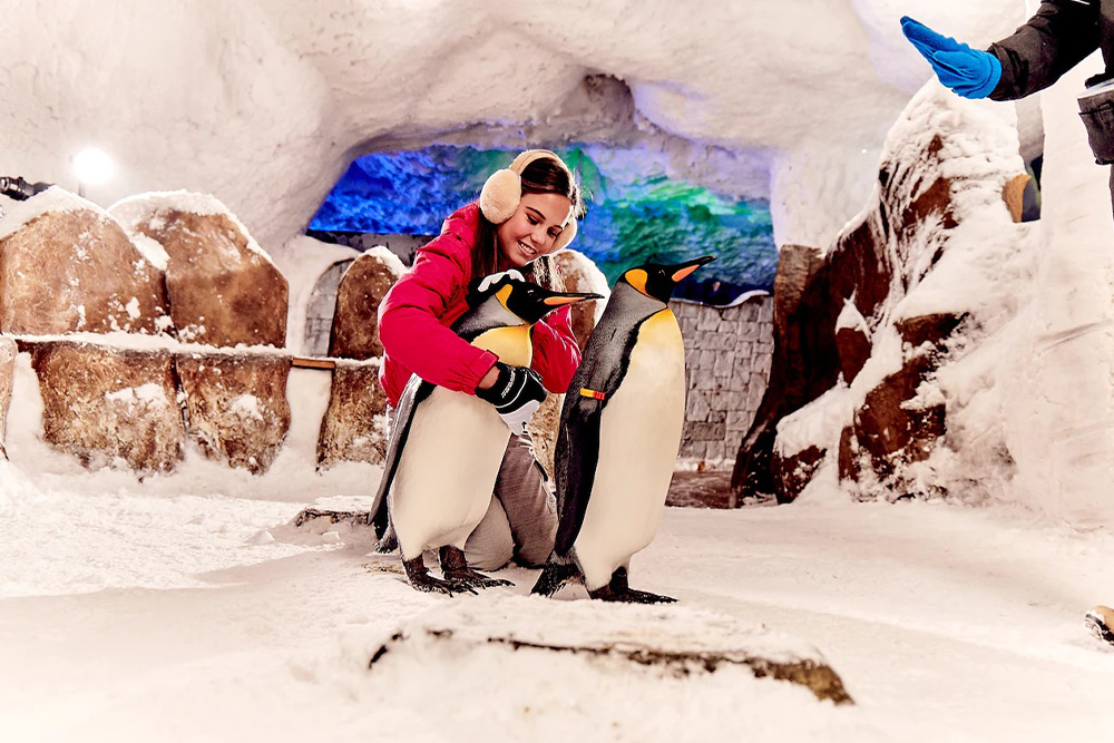 پیست اسکی دبی