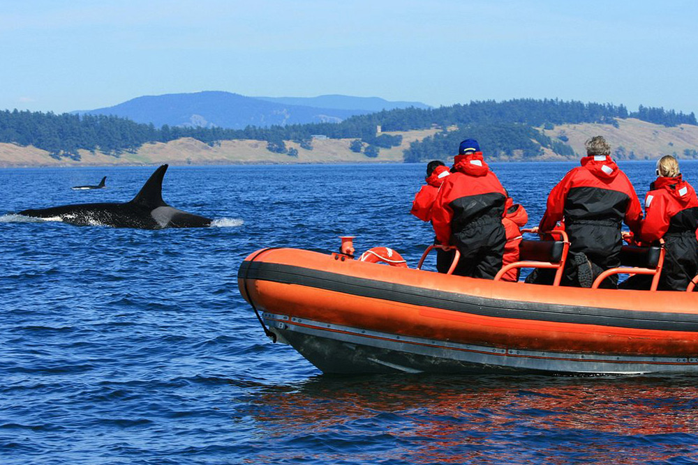  نکات سفر به دومینیکا 