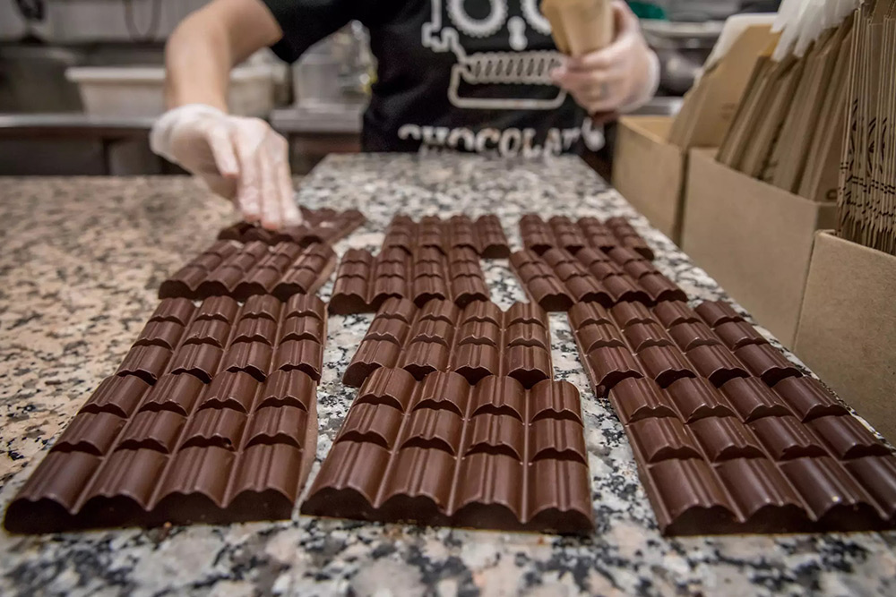 سفر به تورنتو در پاییز