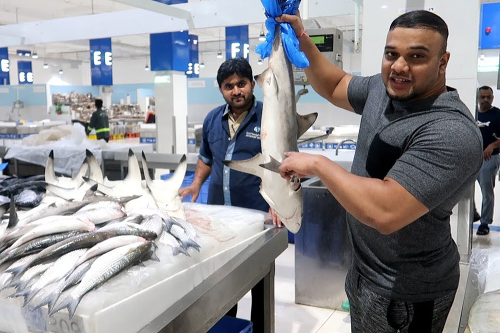 بازار ماهی دبی