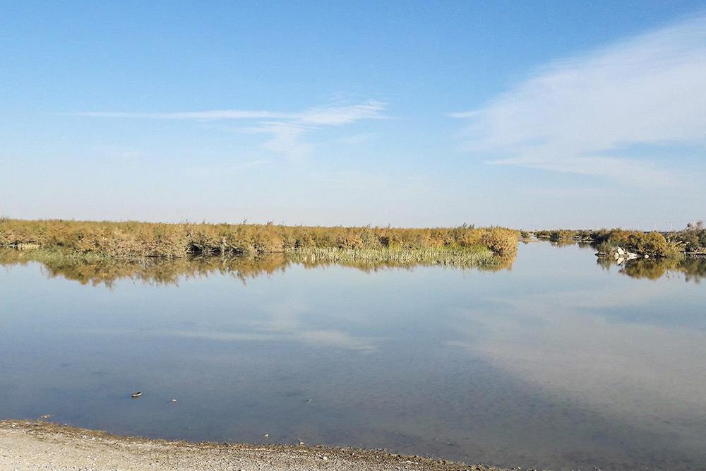 دریاچه هامون