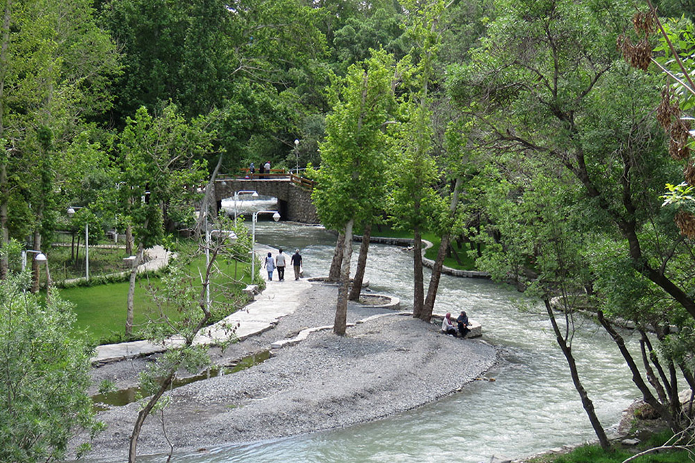 پارک جنگلی وکیل‌آباد 