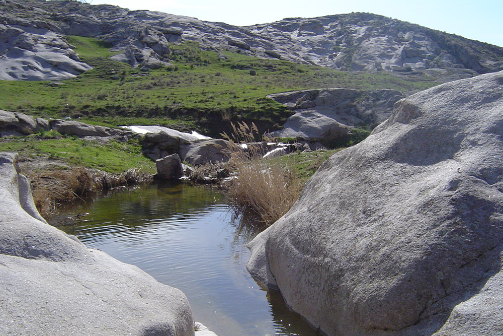 بهترین پارک ‌های مشهد