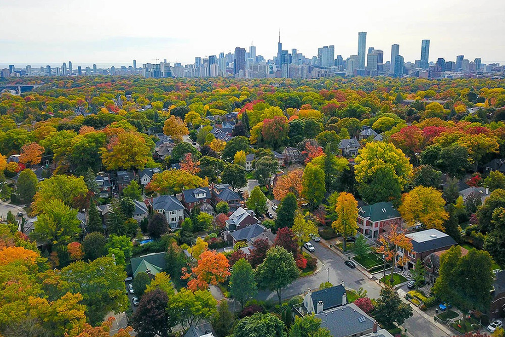 حقایق درباره تورنتو 