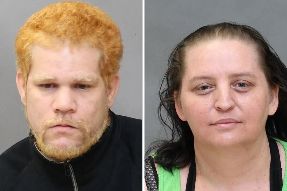 حقایق درباره تورنتو 