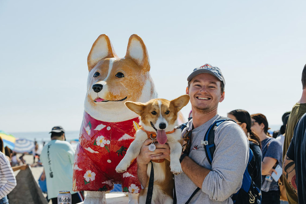 Corgi Beach Day