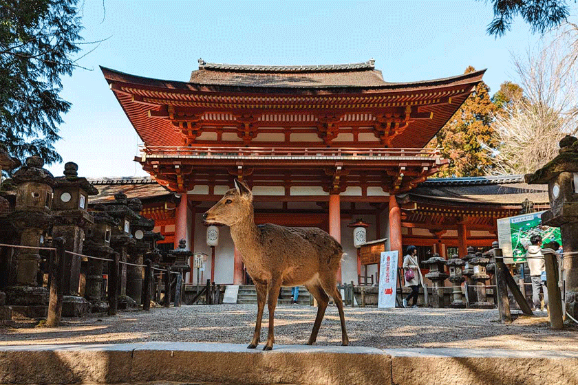 Nara