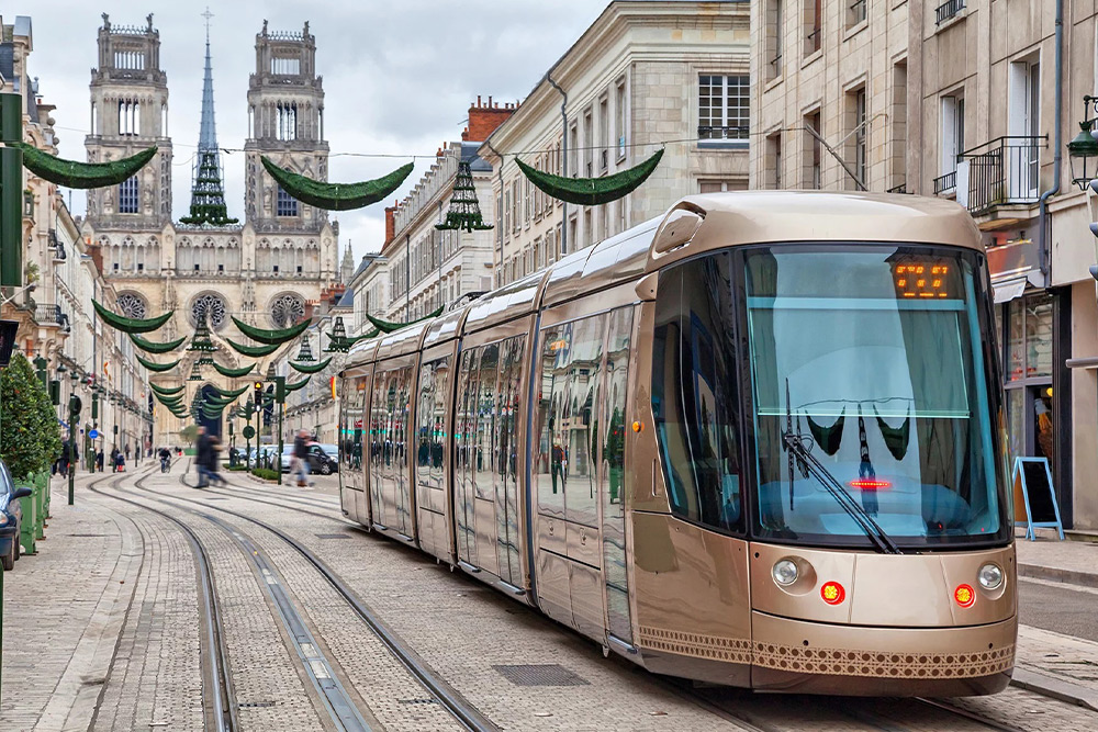 Transportation on the trip