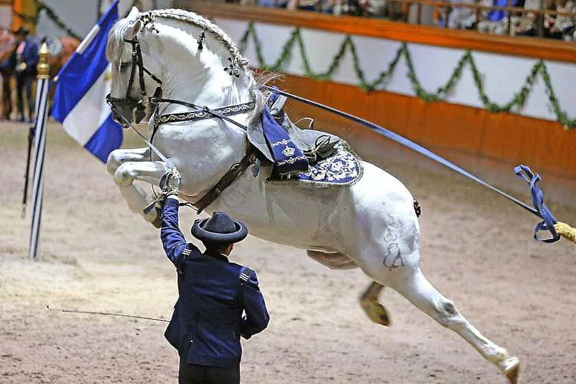 ماه عسل در سویل