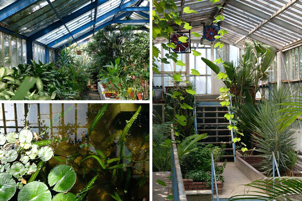 Istanbul greenhouse park