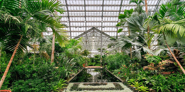 Istanbul greenhouse park