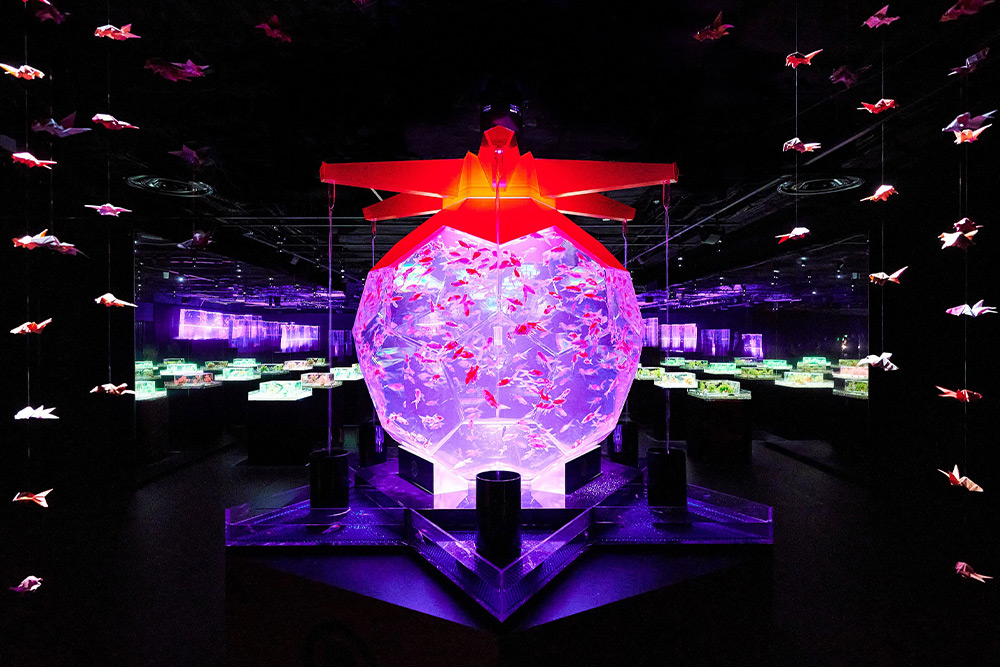 art aquarium ginza