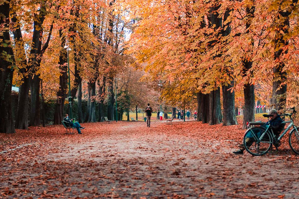 Milan in autumn