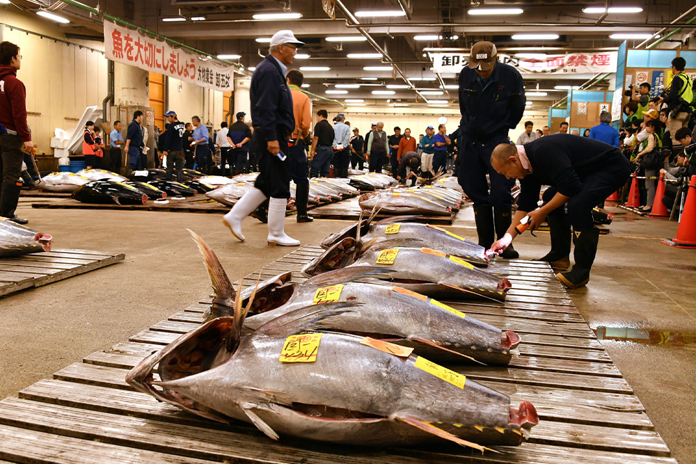 بزرگ ترین بازارهای جهان