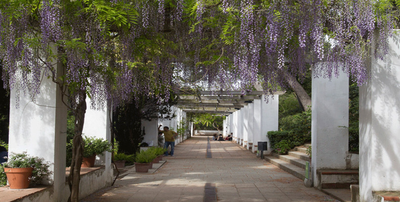 باغ‌ لاریبال