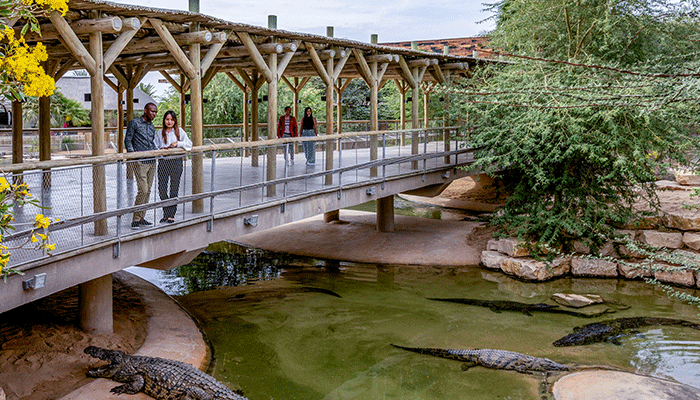 Dubai Crocodile Park