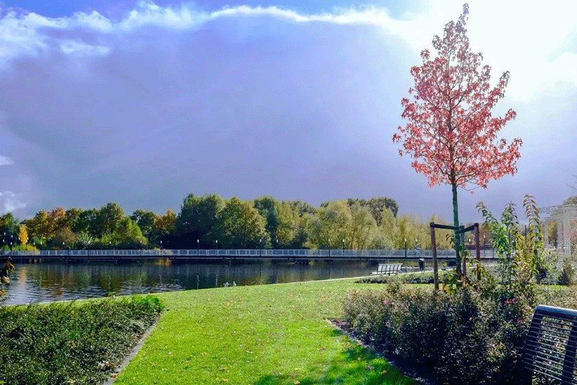 Islamic botanical garden