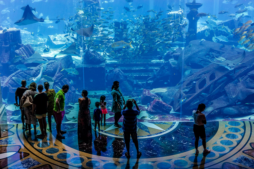 آکواریوم لاست چمبرز دبی