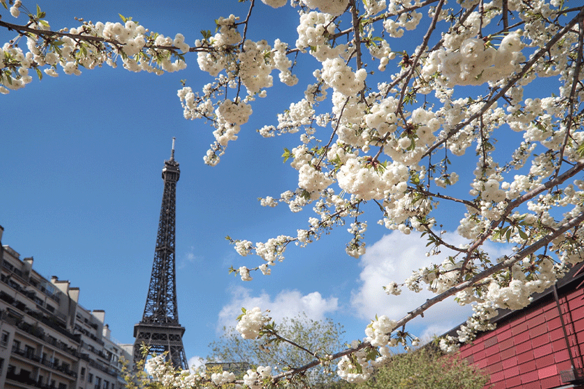 Paris in April