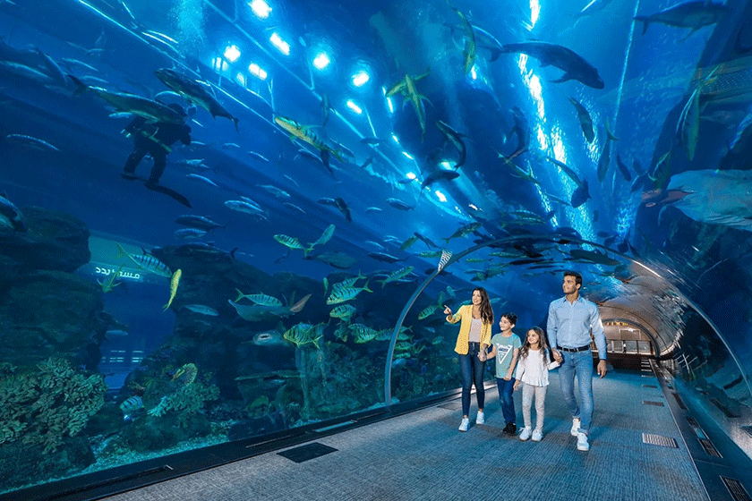 Dubai Aquarium