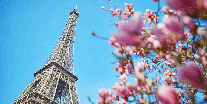 پاریس در فروردین ماه؛ همزمان با رقص پروانه ها