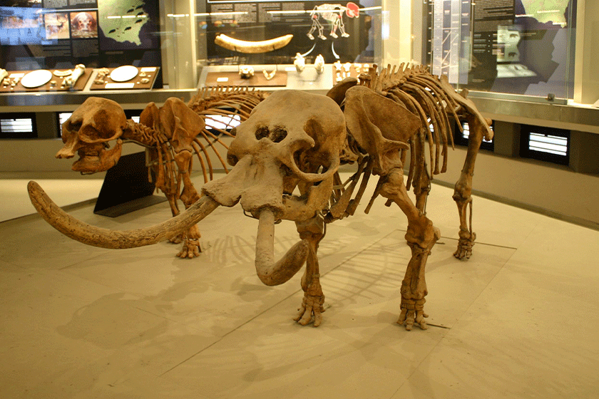 Visiting the Orsi Museum