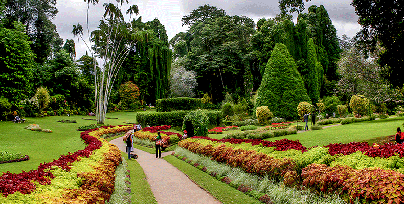 باغ گیاه شناسی چابهار