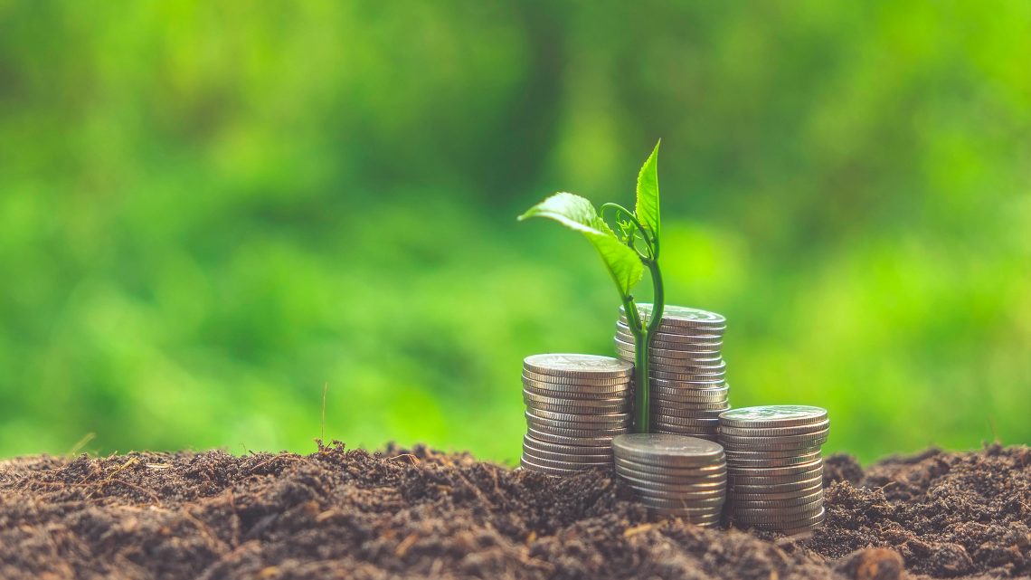 راه های مهاجرت به دومینیکا