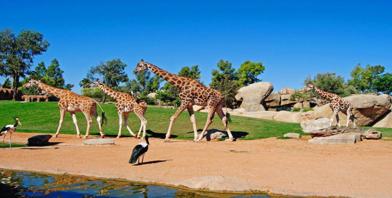 جاهای دیدنی والنسیا