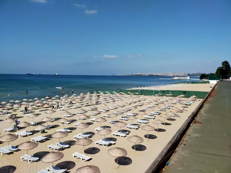 یک روز را در ساحل بگذرانید